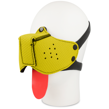 AÇAIME DE CÃO AMARELO OHMAMA FETISH