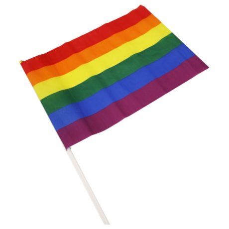 BANDEIRA GRANDE LGBTQ+ | PRIDE