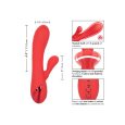 CALEX PALISADES VERMELHO PASSION