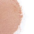 SECRETPLAY – GOLDEN LIGHT KIT POLVOS COMESTIBLES Y PLUMA FRESAS & CAVA