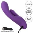 CALIFÓRNIA EXOTICS STELLA DUAL PRAZER VIOLETA