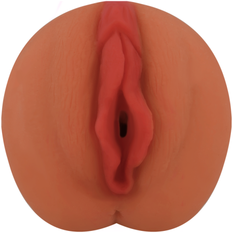 img_136255_b9d44a959273e5f8c890e0ba06c5a3b0_1.png