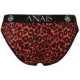 CUECAS TRIBAL XL