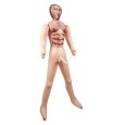 BONECO INSUFLÁVEL PERSONAL TRAINER | CALIFORNIA EXOTICS