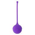 INTENSO KISHA FIT ONE SILICONE KEGEL ROXO
