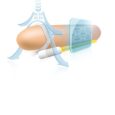 ANDROPENIS MINI EXTENSOR DE PÉNIS | ANDRO MEDICAL