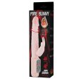 FIRE BUNNY ROTATION 48ª