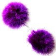 ALGEMAS COM PELO ROXO