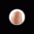 KING COCK DILDO REALISTA UNCUT CARNE 21 CM