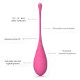 LESLIE KEGEL FIT PELVIC MUSCLE TRAINING CONJUNTO 6 PCS