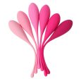 LESLIE KEGEL FIT PELVIC MUSCLE TRAINING CONJUNTO 6 PCS