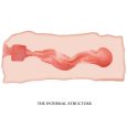 CRAZY BULL – JANE VAGINA MASTURBATOR 13,5 CM
