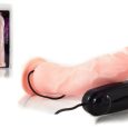 ROUGH MULTI SPEED DENSITY VIBRADOR