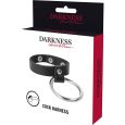DARKNESS ANEL METAL PARA PÉNIS E TESTÍCULOS